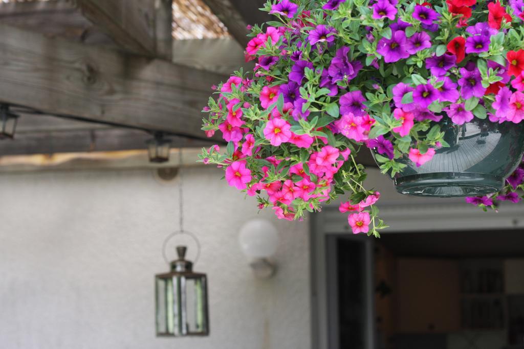 Calme Et Nature, Ba Hotell Gujan-Mestras Rum bild